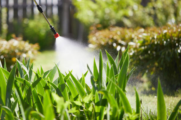 24/7 Emergency Wasp Removal experts in Otterbein, IN